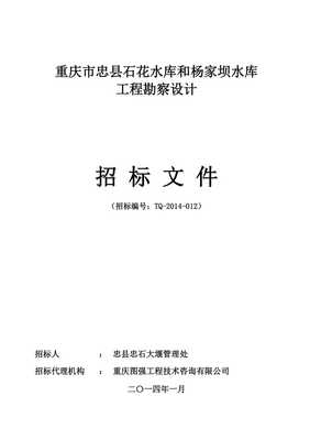 重慶某水庫工程勘察設(shè)計(jì)招標(biāo)文件——工程勘察設(shè)計(jì)專業(yè)分析